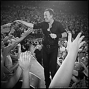 Bruce Springsteen - click for larger version
