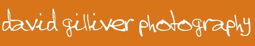 photo gallery